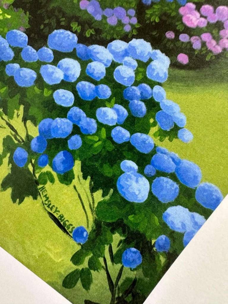 Hydrangea glory PRINT - Karen Hemsley-Biggs