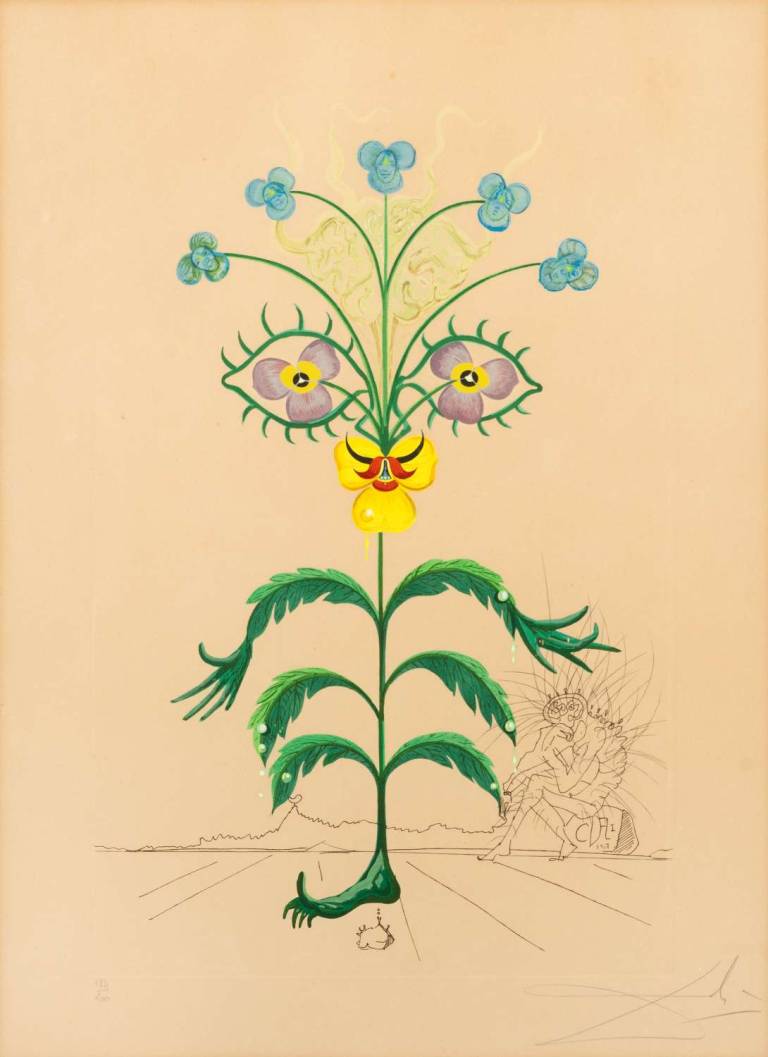 Viola Cogitans – Flora Dalinae. Viola Thinking. Pansy. 1968 - Salvador Dali