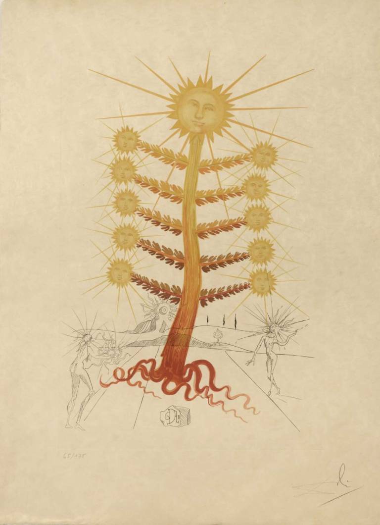 Salvador Dali - Sunflower – Helianthus Solifer. Flora Dalinae. 1968.