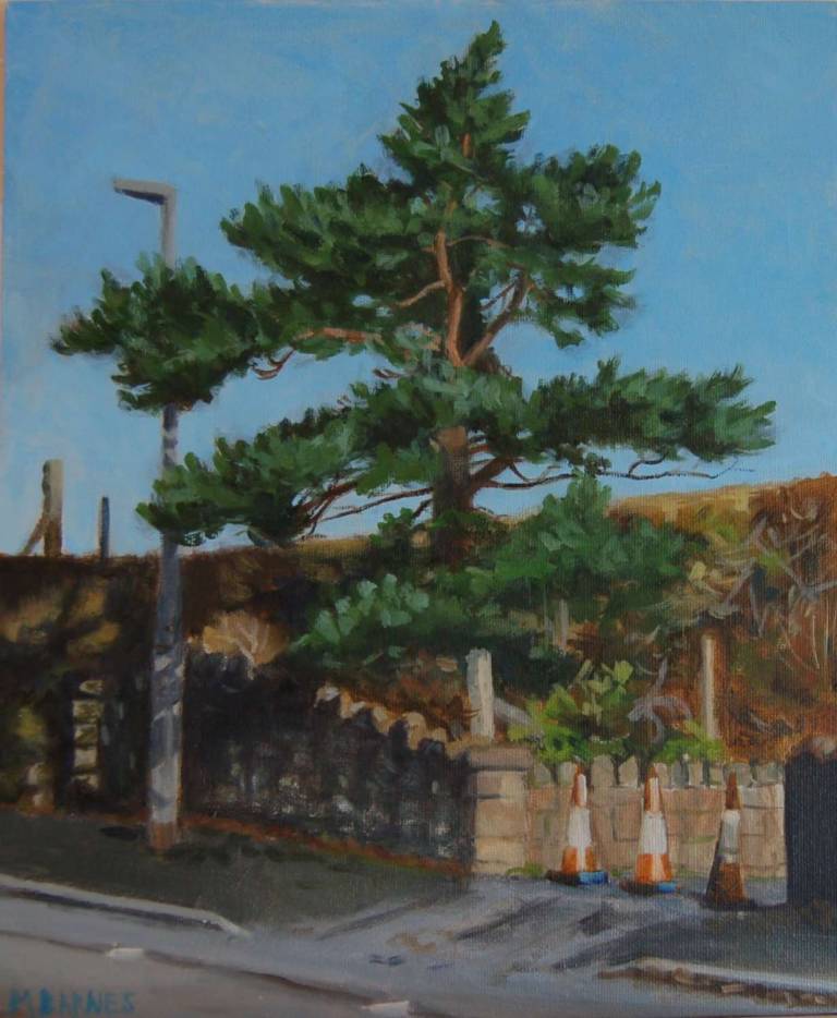 Three Cones and the Pine (framed) RESERVED FOR EXHIBITION - Mary Barnes