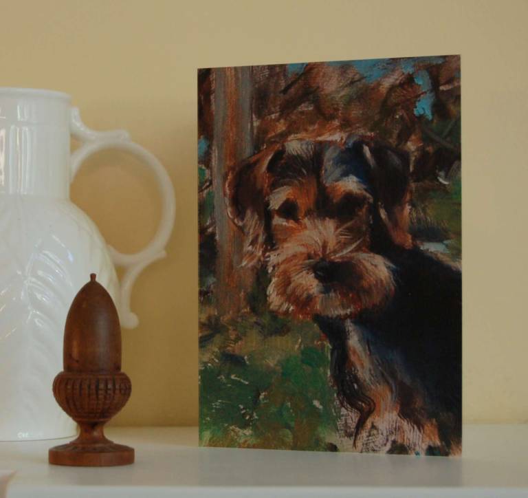 Dogs greetings cards set - Mary Barnes