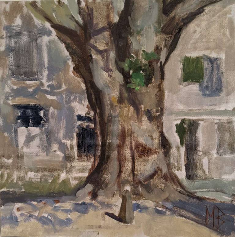 A tree for shade: Plane tree study (Plantanus orientalis) - Mary Barnes
