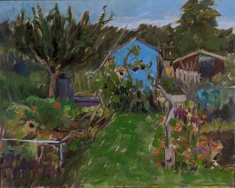 Blue shed at the allotments RESERVED FOR EXHIBITION - Mary Barnes