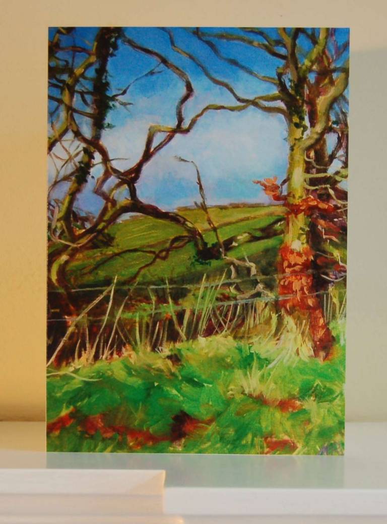 Landscape greetings card pack of 4 - Mary Barnes