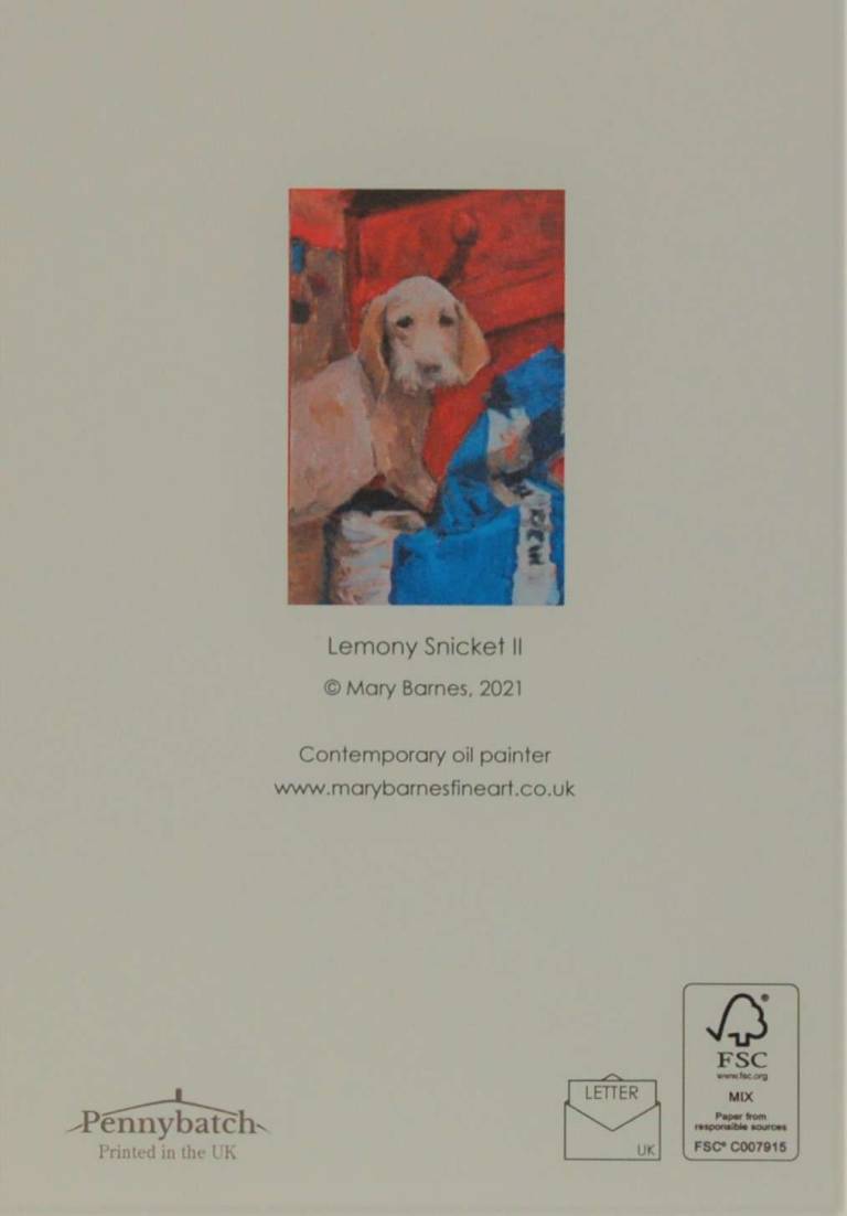 Dogs greetings cards set - Mary Barnes