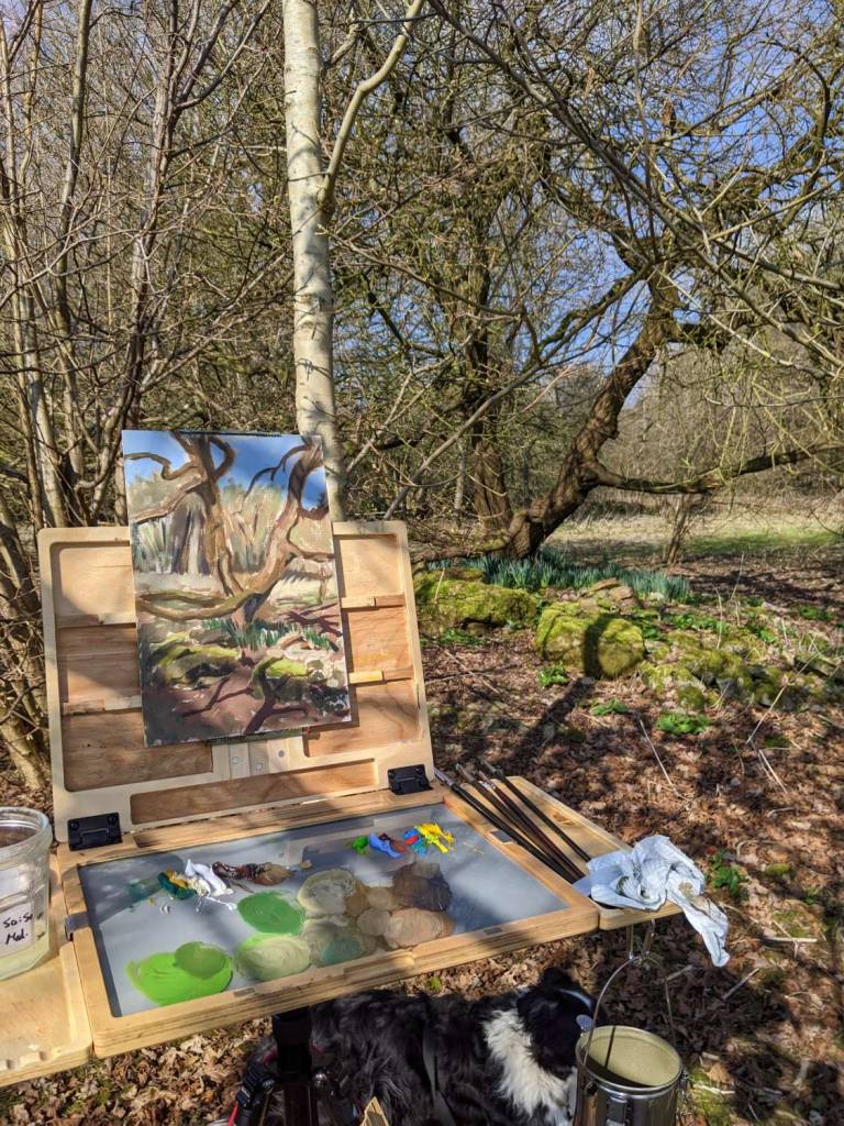 The Mystery Tree: Goat willow  (Salix caprea) - Mary Barnes