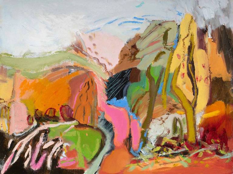 An Explosion of Colour Exhibition by Suzanne Lawrence - 