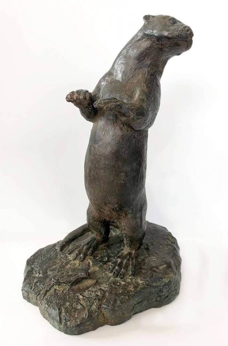 Robin Bouttell Bronzes - Standing Otter (Edition 12 of 25)