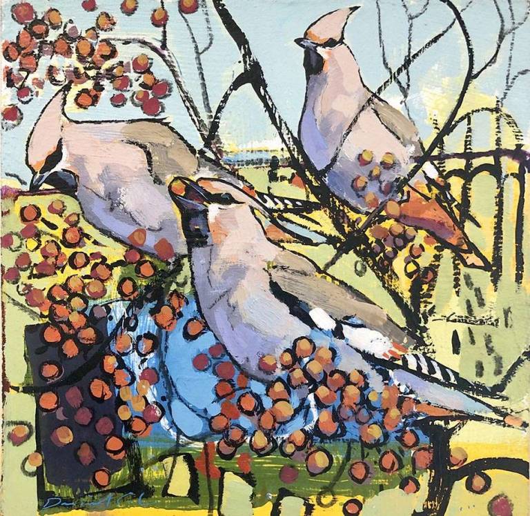 Waxwings - Daniel Cole Birds