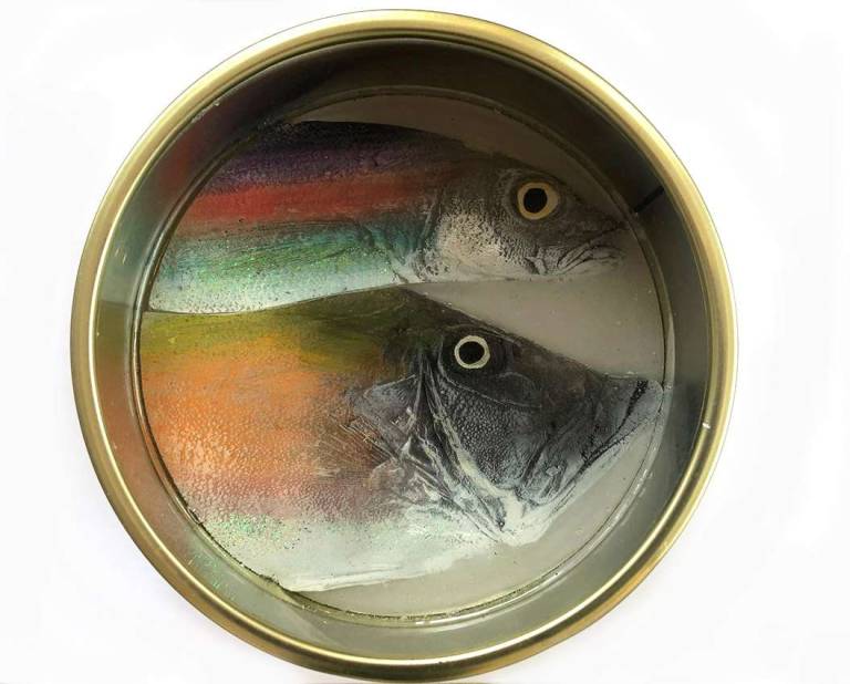 Fish Tin Large Circle - Ortaire de Coupigny