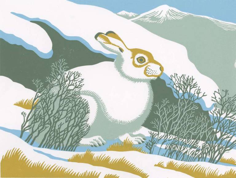 WFF Mountain Hare Stamp - Robert Gillmor Royal Mail