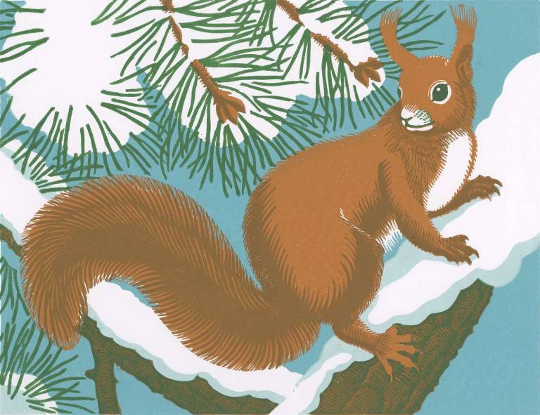WFF Red Squirrel Stamp - Robert Gillmor Royal Mail