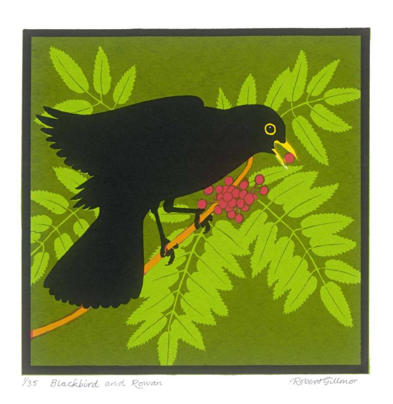 Robert Gillmor Silk-screen - Blackbird & Rowan