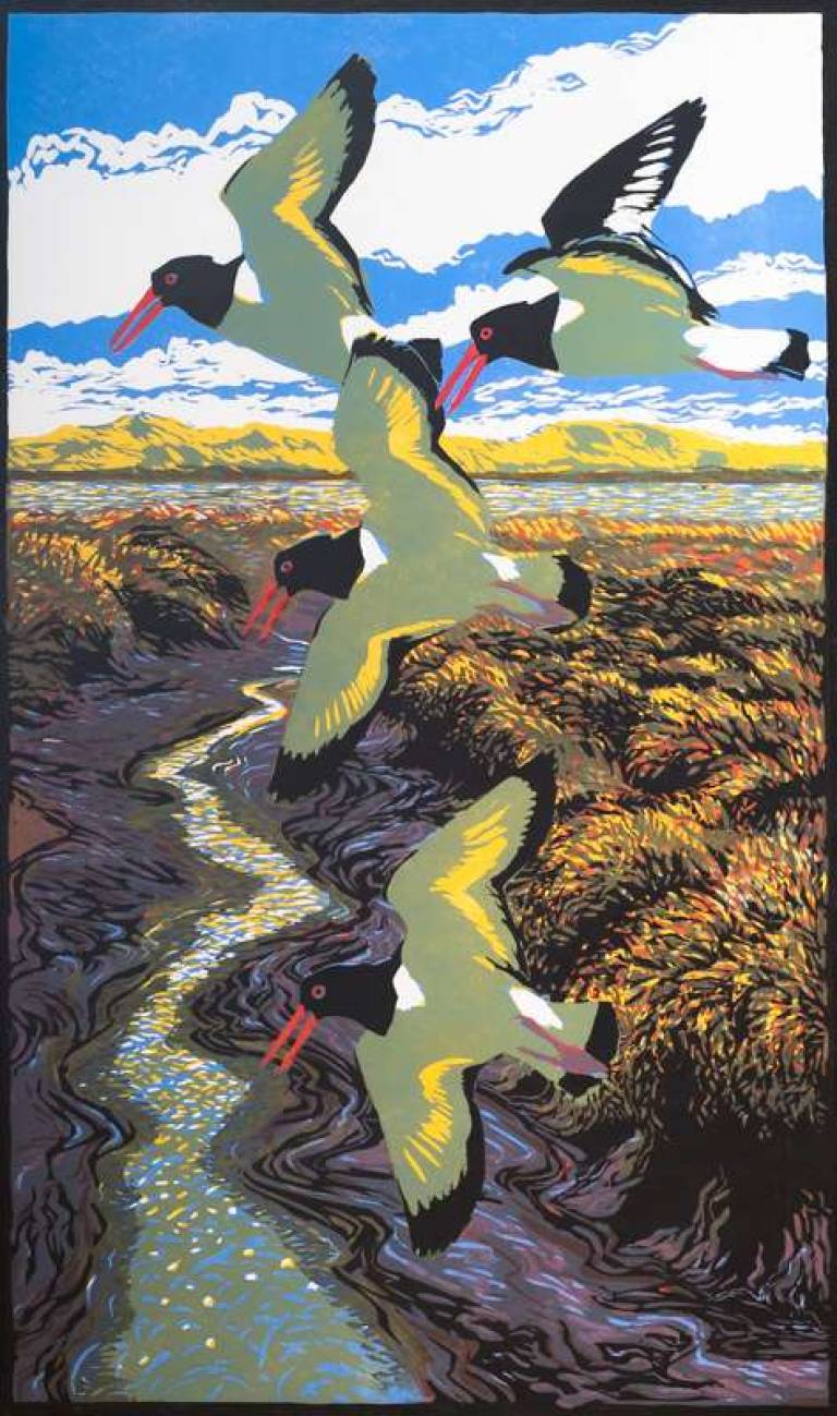 Piping Oystercatchers, edition 12 - Bruce Pearson
