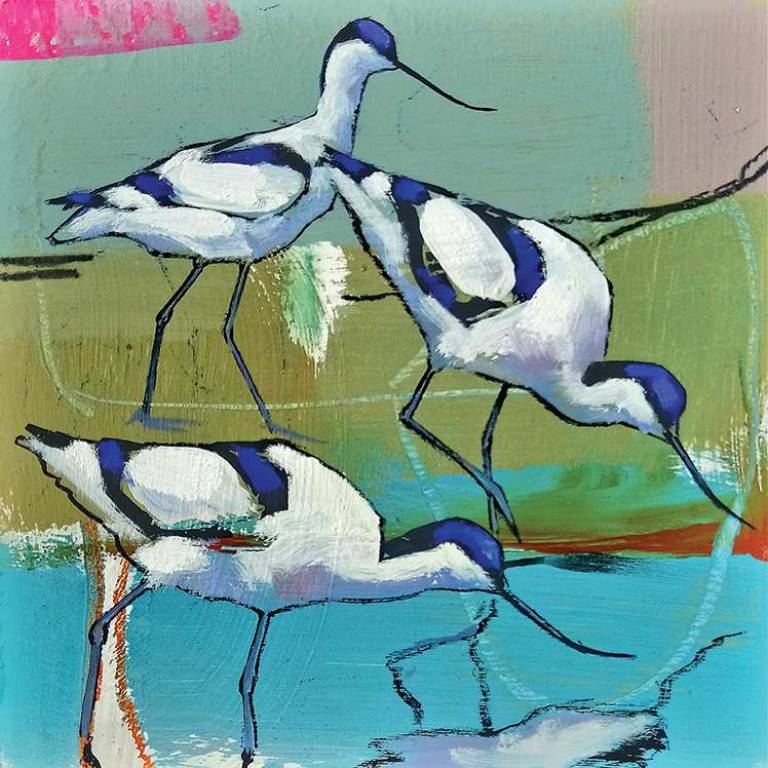 Three Avocets (Edition 100) - Daniel Cole Bird Prints