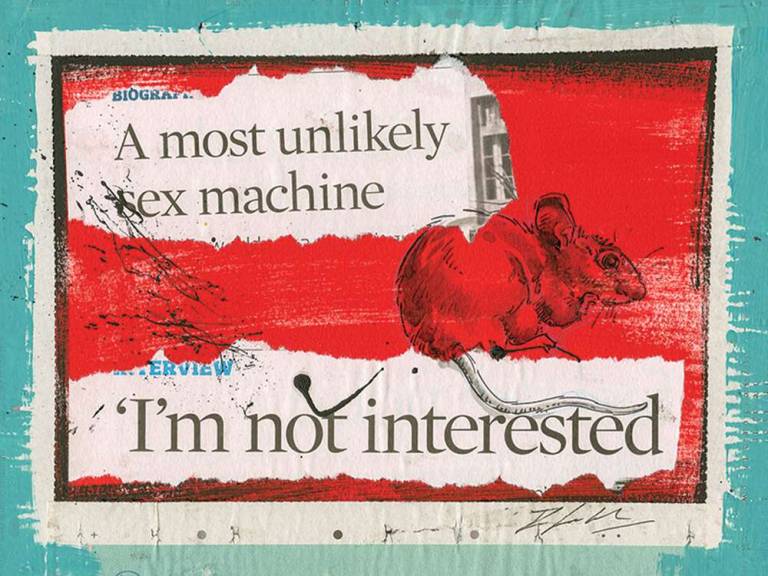 Most Unlikely Sex Machine (Edition 50) - Rachel Lockwood Little Matters Prints