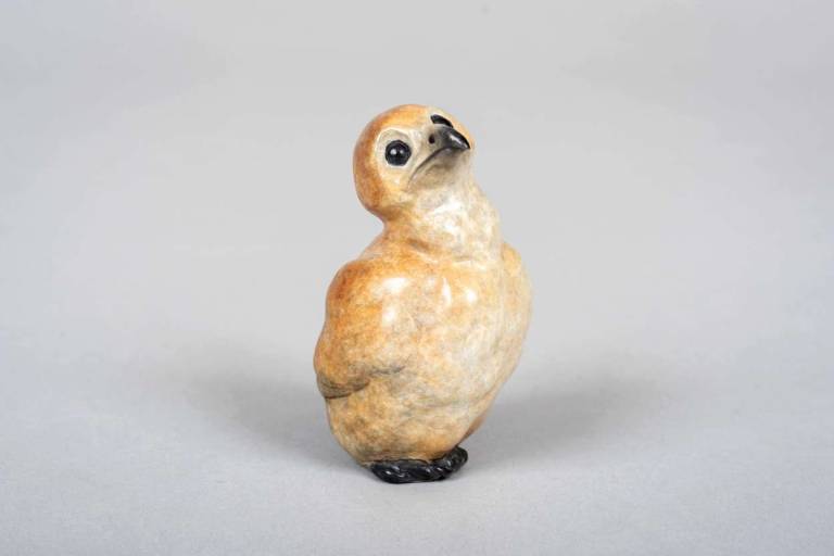 Robin Bouttell Pinkfoot Bronzes - Owlet (Edition 3 of 50)