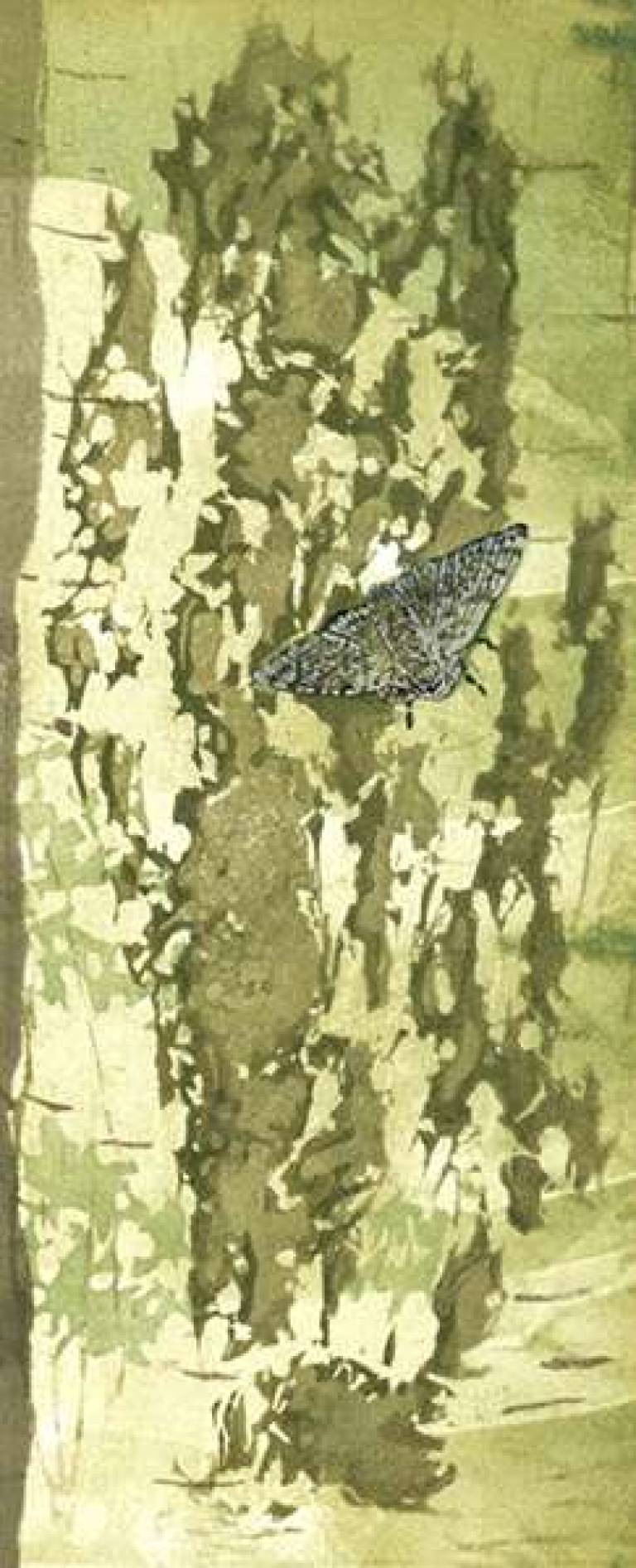 Overlooked (Peppered Moth on Birch) - Thelma Sykes