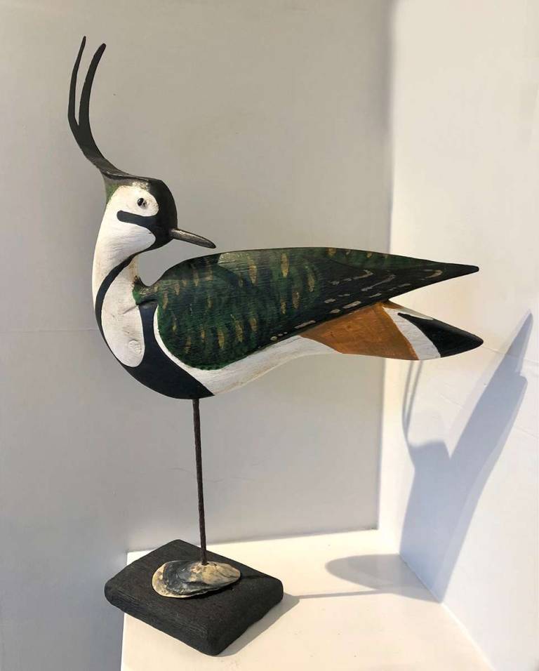 Lapwing with oystershell II - Stephen Henderson