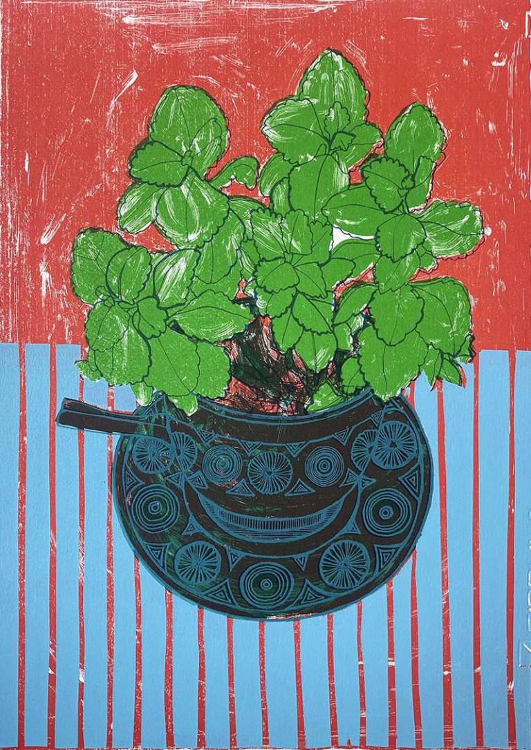 Emily Gillmor - Juicy Succulent in Soup Bowl Edition: 5/9