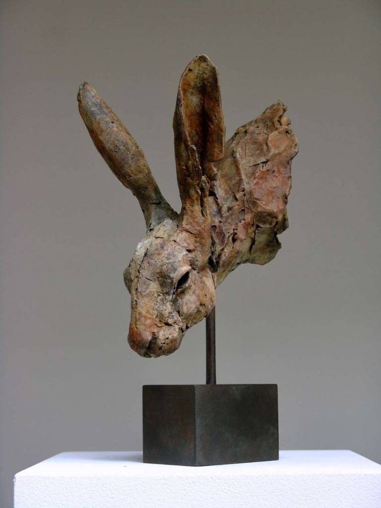 Hare Head Study - Nichola Theakston