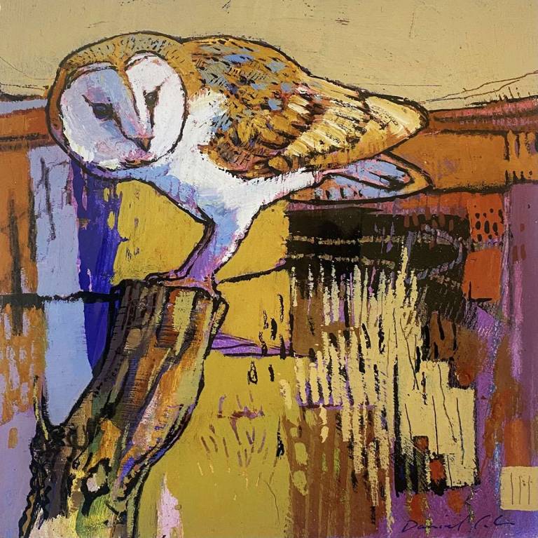 Daniel Cole Bird Prints - Barn Owl