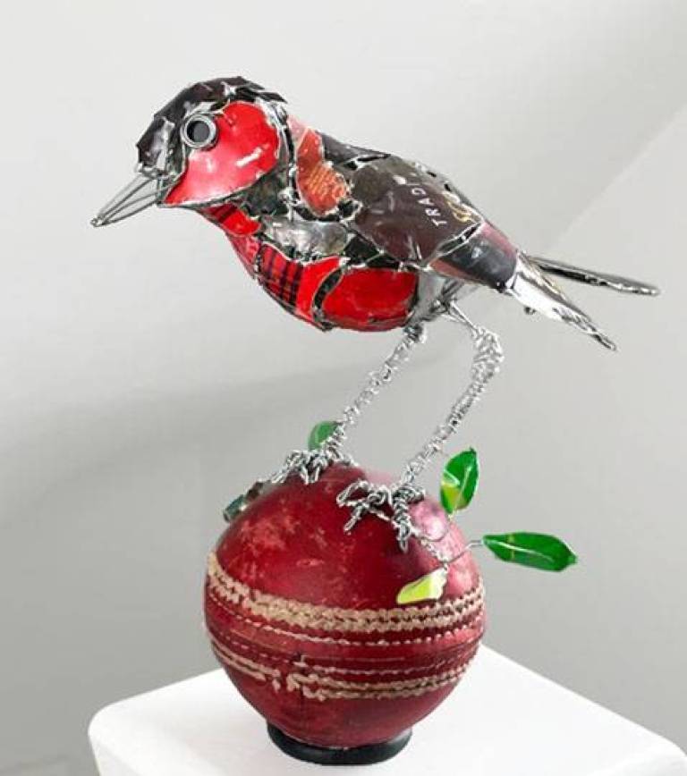 Robin on a Cricket Ball - Barbara Franc