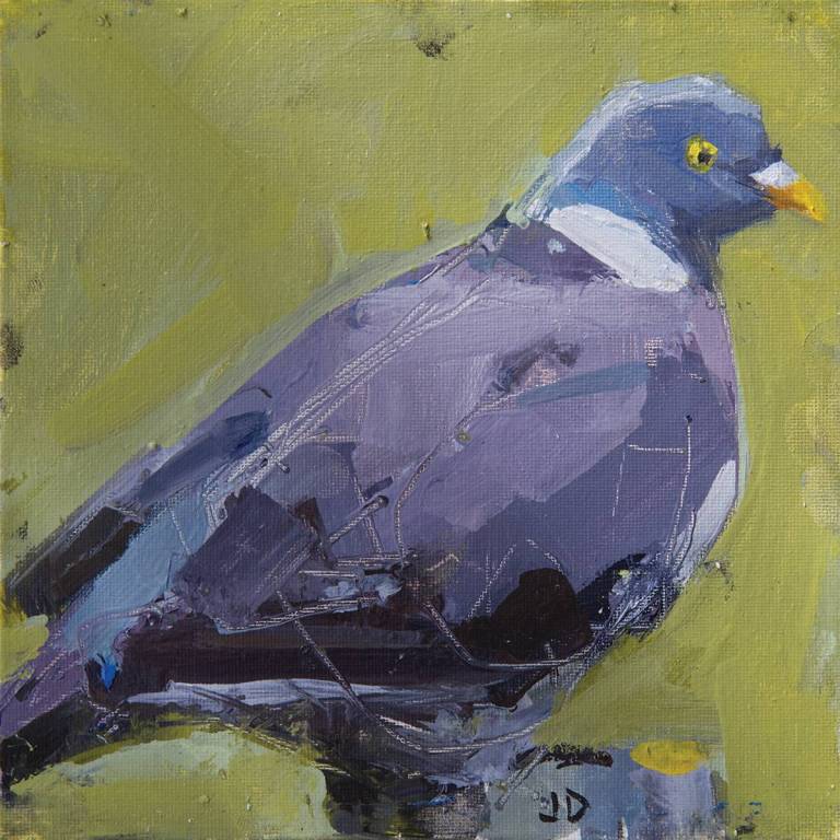 Wood Pigeon - John  Dobbs