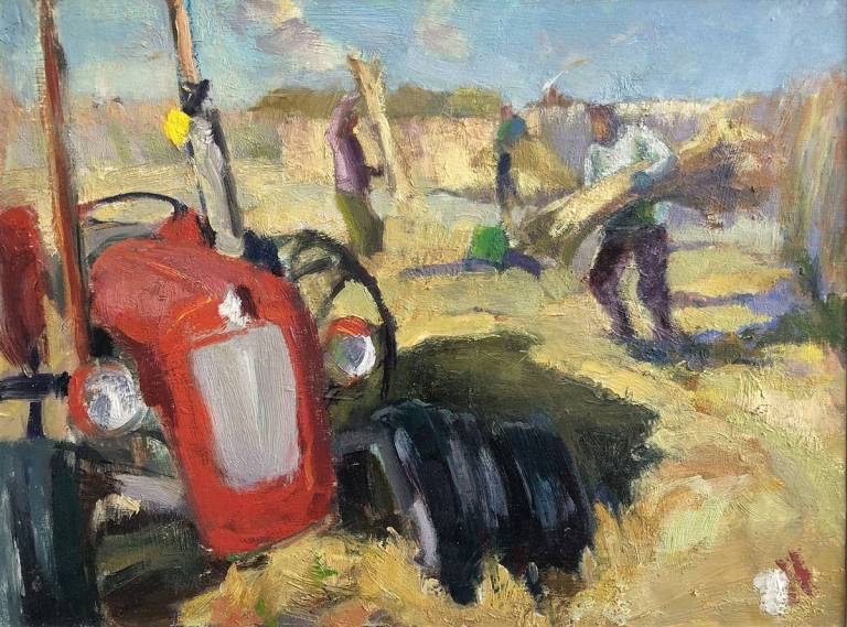 Little Red Tractor - Jane PS Hodgson