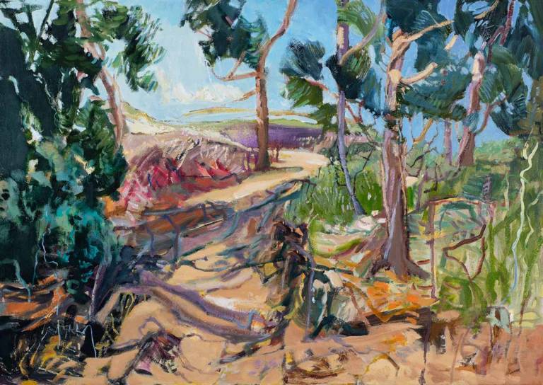 Suzanne Lawrence - 2 Holkham pine woods