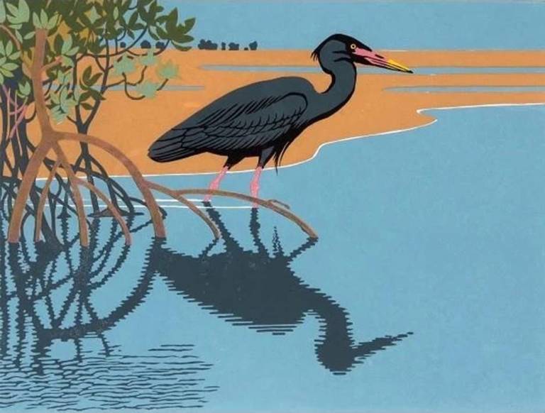 Madagascan Heron - Robert Gillmor