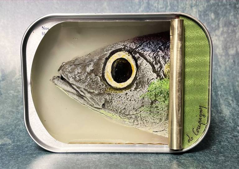 Fish Tin - Ortaire de Coupigny