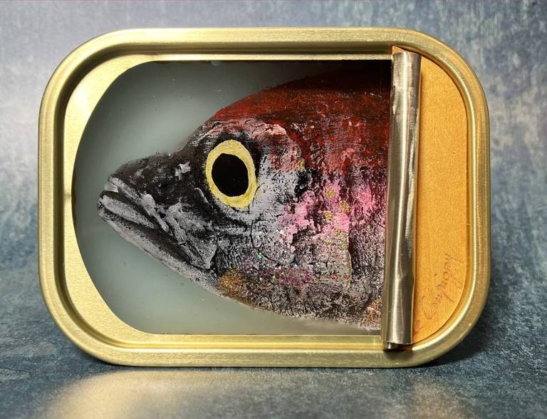Ortaire de Coupigny - Fish Tin