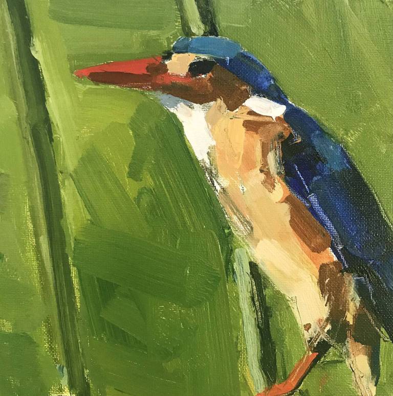 Malachite Kingfisher - John  Dobbs