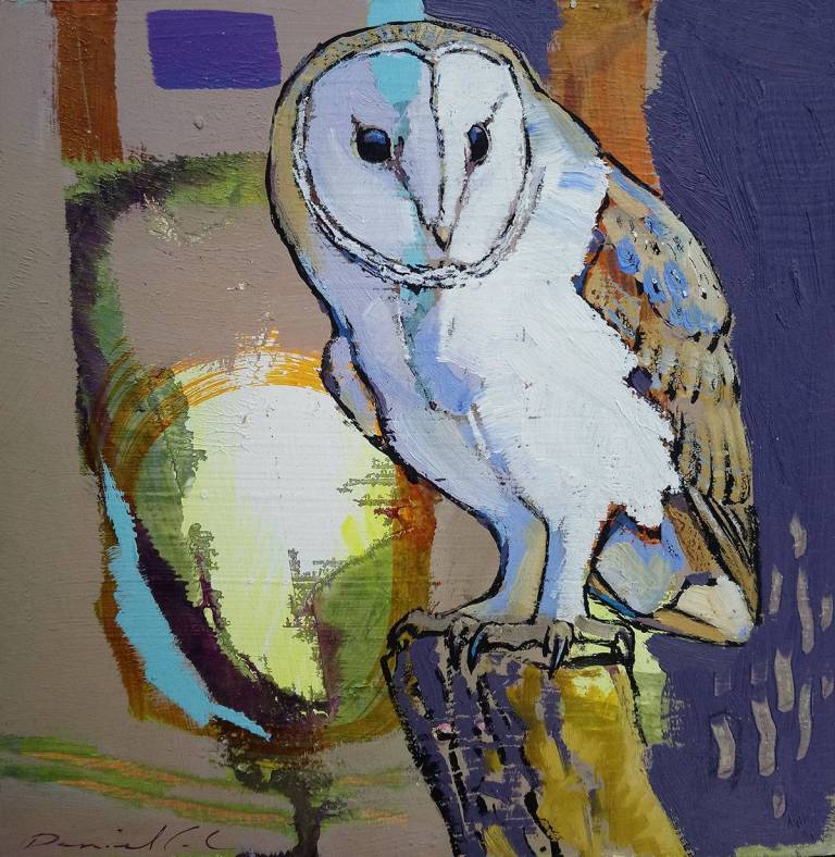Barn Owl II (framed) - Daniel Cole Bird Prints