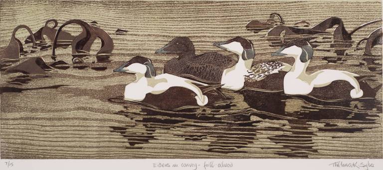 Thelma Sykes - Eiders in Convoy - Triptych