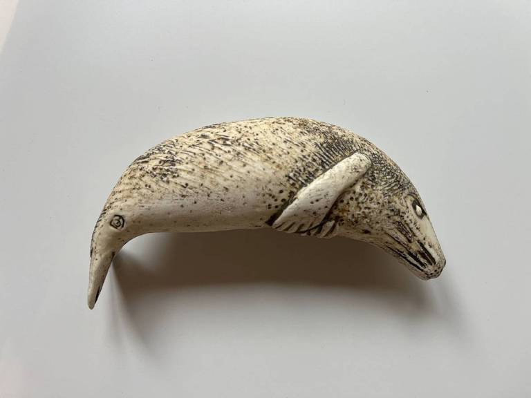 Seal with Speckled Belly - Blandine Anderson