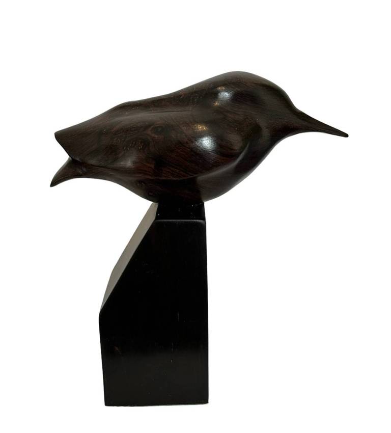 Bird - Terry Getley