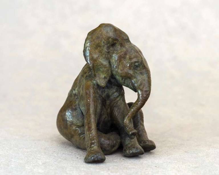 Baby Elephant (Edition of 50) - Robin Bouttell Pinkfoot Bronzes