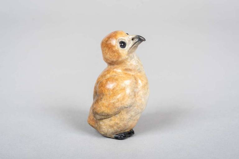 Owlet (Edition 3 of 50) - Robin Bouttell Pinkfoot Bronzes