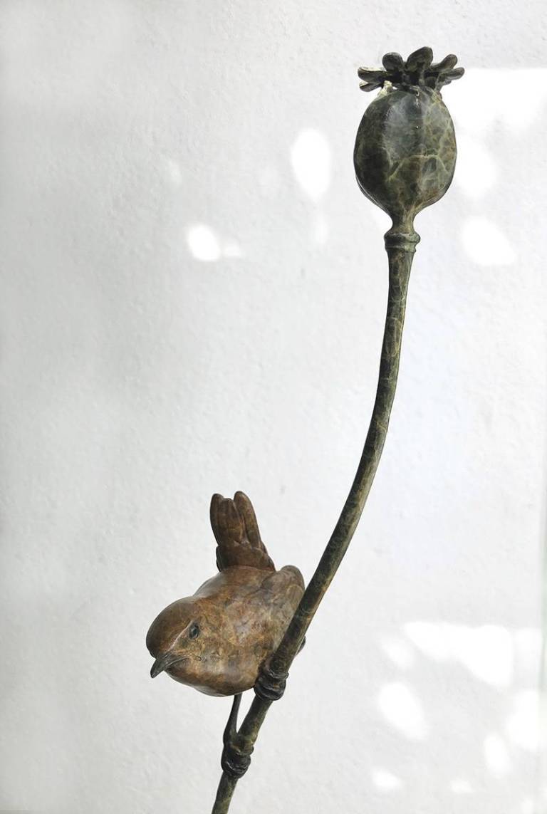 Wren on a Poppy Stem - Robin Bouttell Bronzes