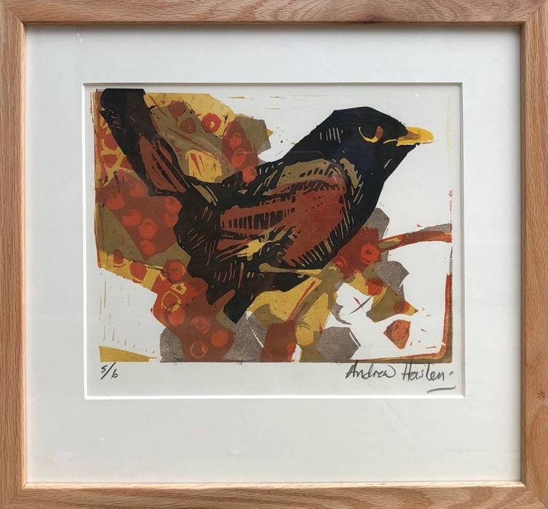 Blackbird (edition of 6) - Andrew Haslen