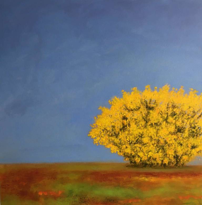 Early Season Gorse - ROGER  COLSON