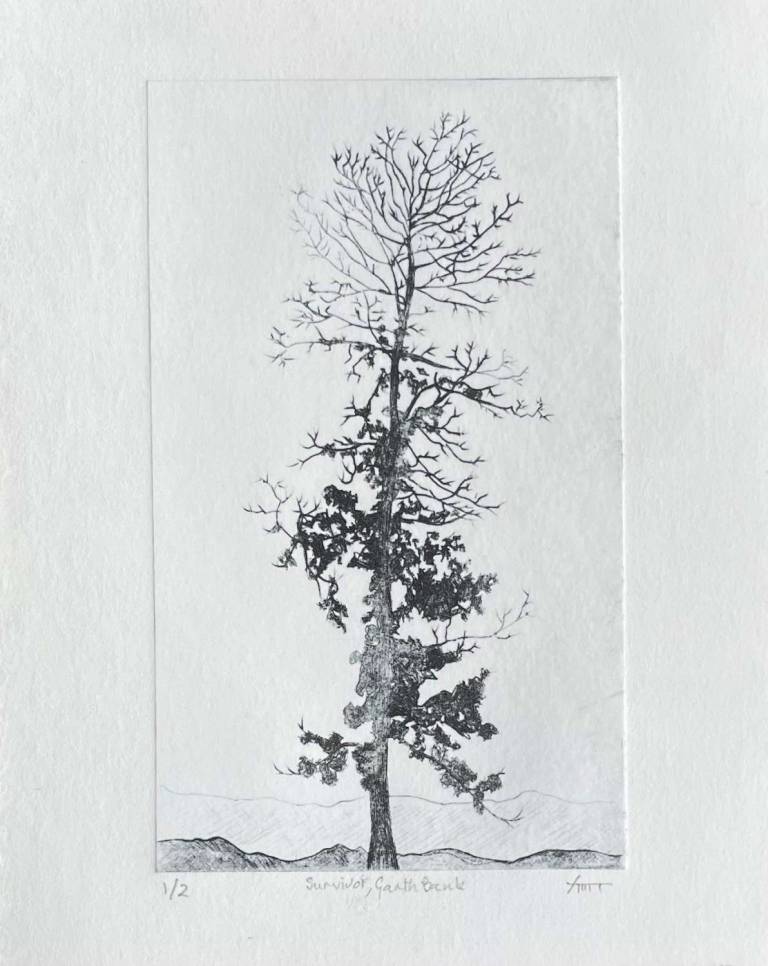Survivor, Garth Bank - Paul Rickard