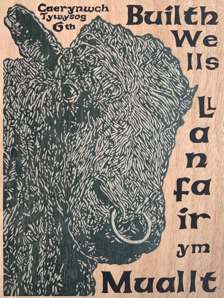 Caerynwch Tywysog 6th - Wood Panel - Paul Rickard