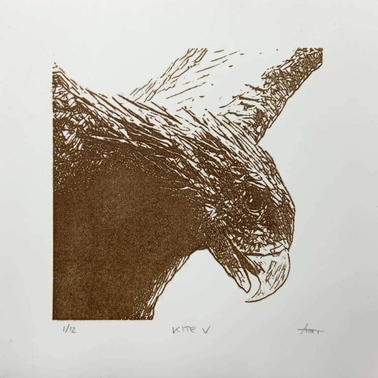 Kite V - Paul Rickard