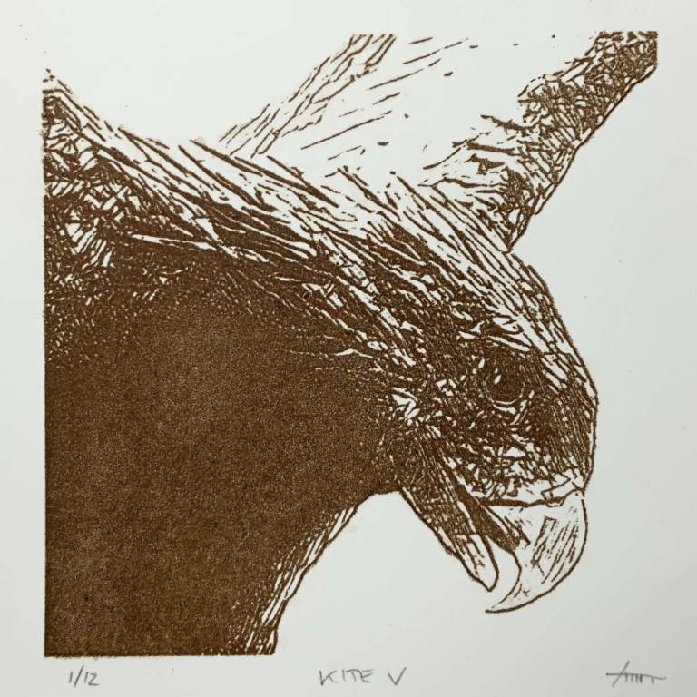 Kite V - Paul Rickard