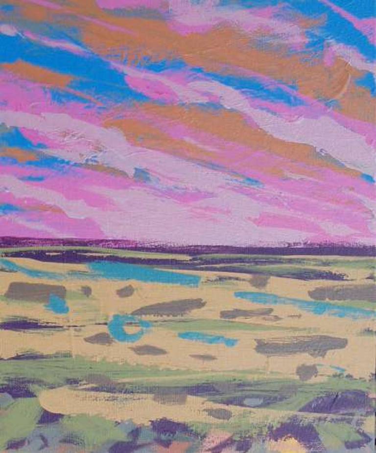 Camouflage Country - Julian Davies