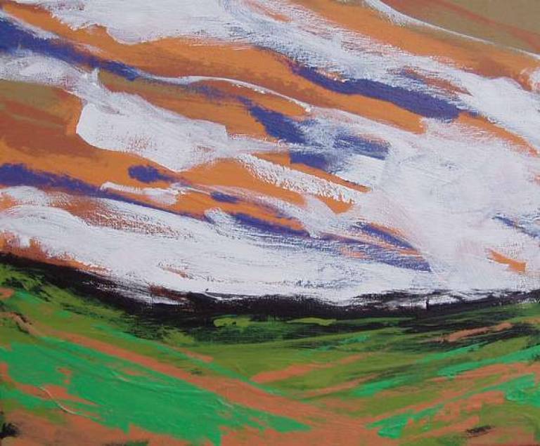 Meikle Bogs - Julian Davies