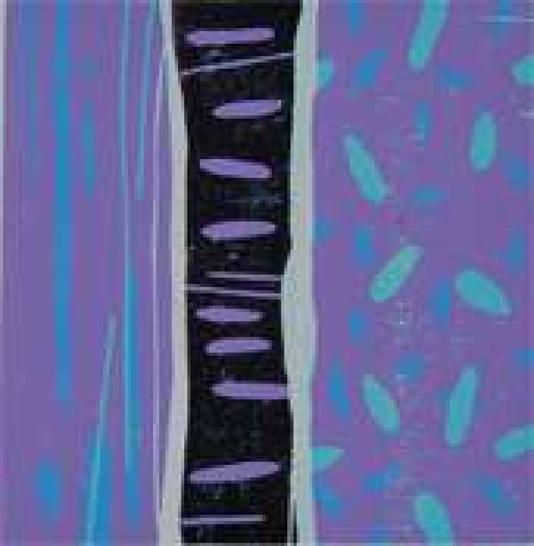 Jacob's Ladder - Julian Davies
